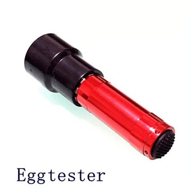 LED Light Egg Candler Tester Ultra Bright Pocket Poultry Egg Lamp Incubator Nz