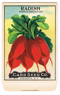 げんしけん＋Spotted Flower 初版全巻セット(保存用) Spotted