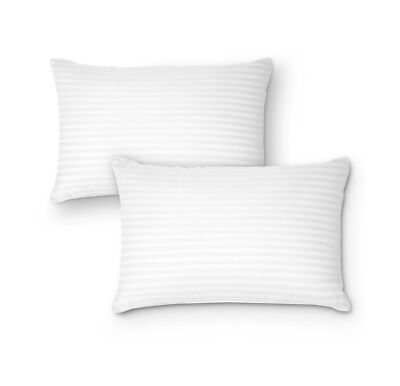DreamNorth Premium Gel Pillow Loft (Pack of 2) Luxury Plush Soft Bed Pillows ...
