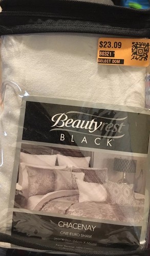 Beautyrest Chacenay Euro Sham Pillow NEW