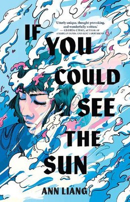 If You Could See the Sun by Ann Liang (English) Paperback Book