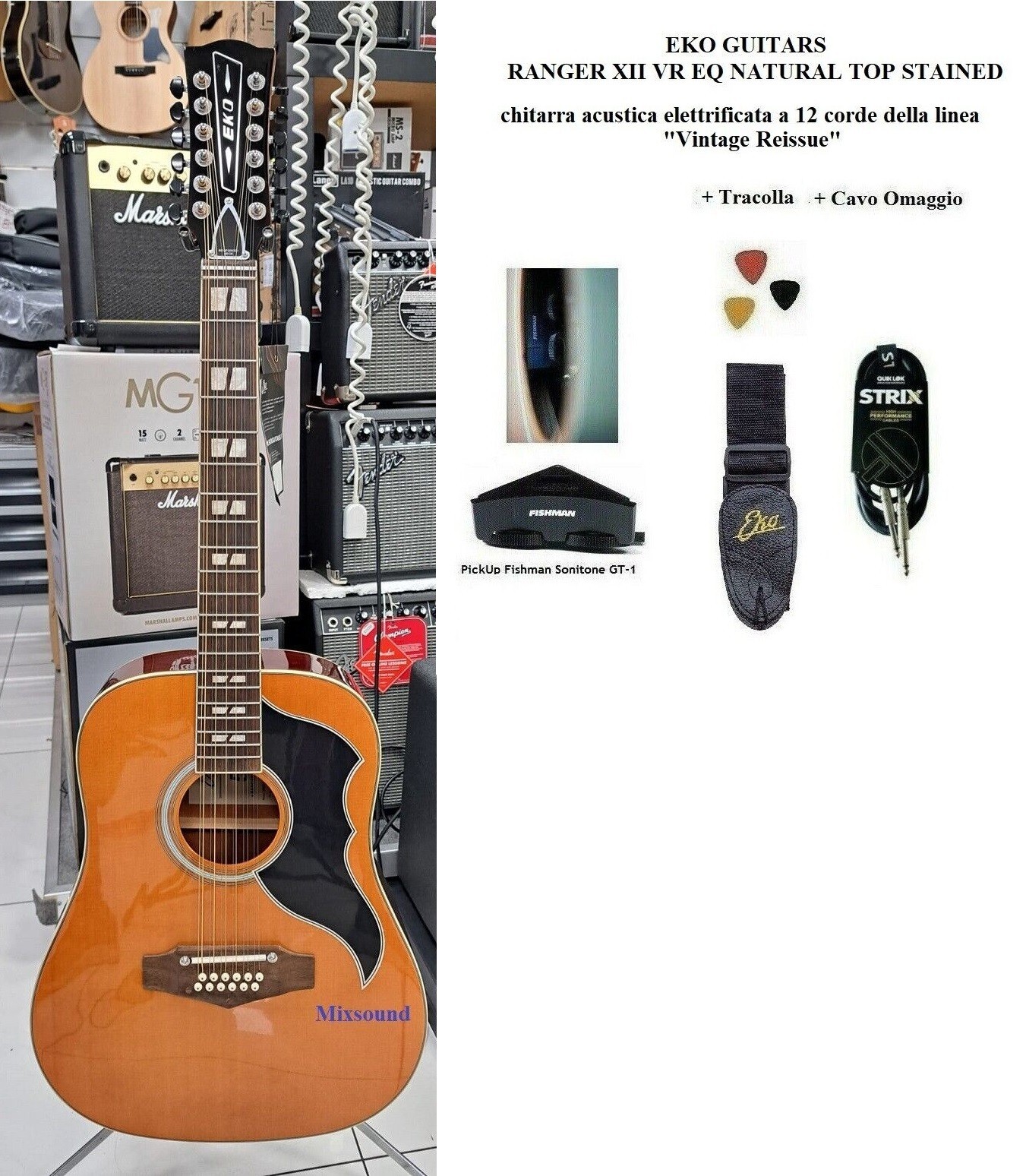 EKO Ranger XII VR EQ Nat Top Stained CHITARRA ACUSTICA