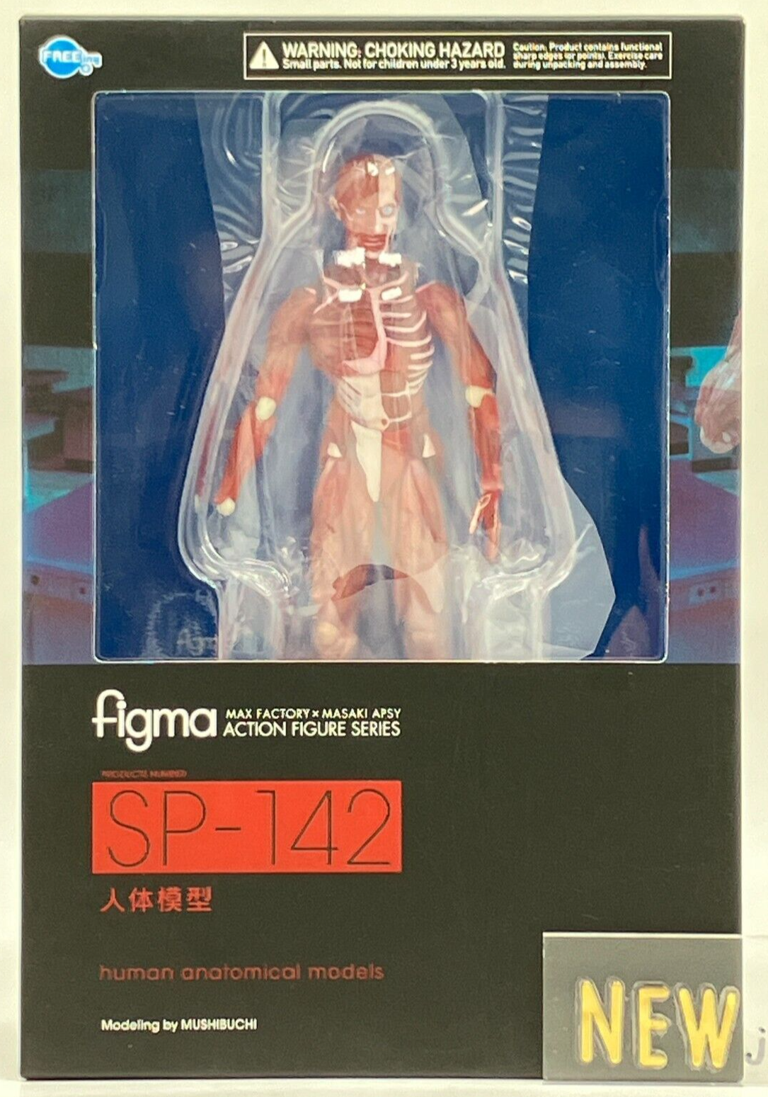 figma SP-142 人体模型 figma SP-142 Human Anatomical Model non-scale ABS&PVC Figure