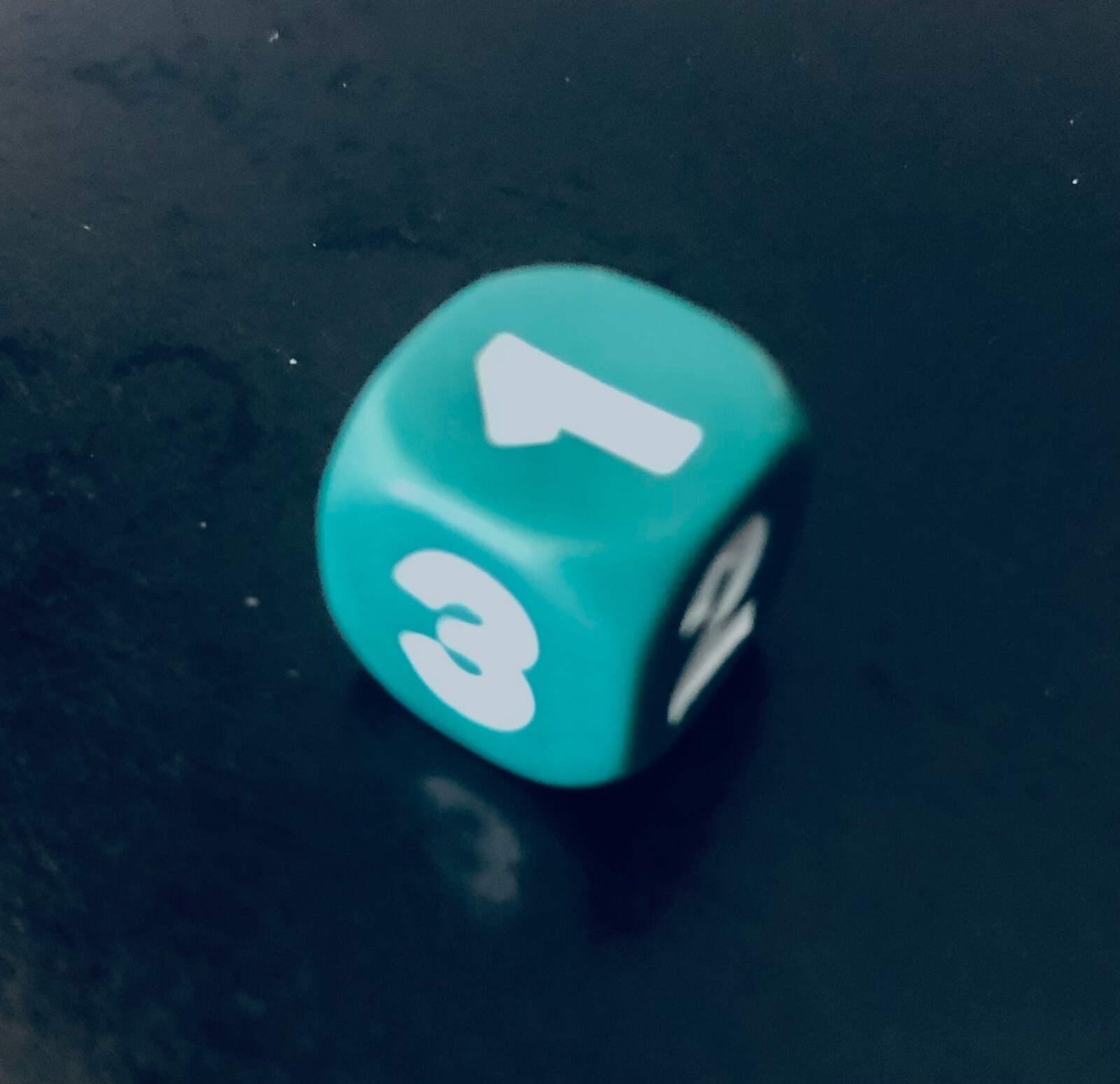 DICE 24/25・GOODMAN：CAMEL DICE 24/25・GOODMAN：CAMEL - メルカリ