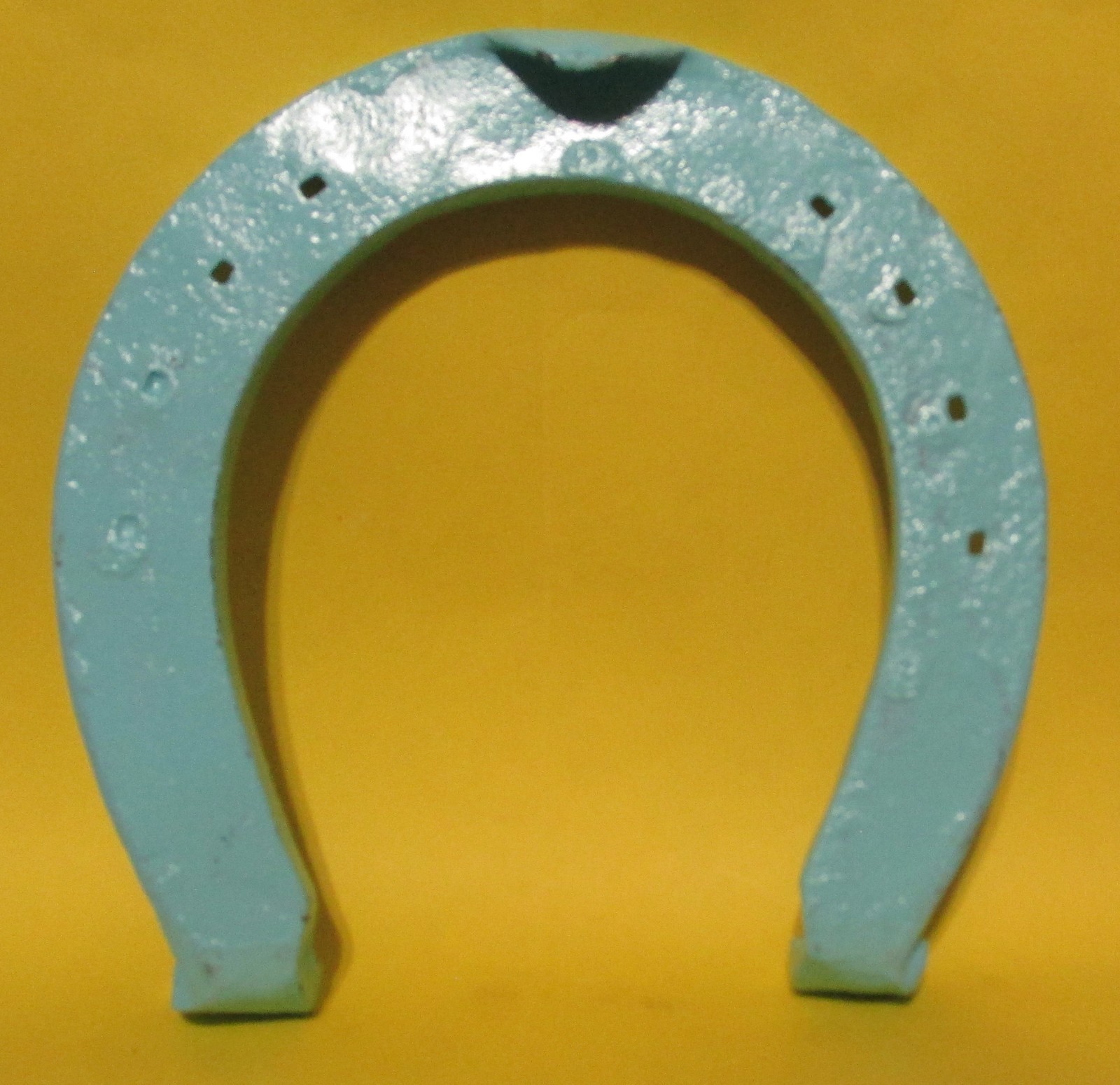 Painted Rustic Metal Iron Blue Mule Shoe Good Luck Charm Horseshoe Cabin Decor