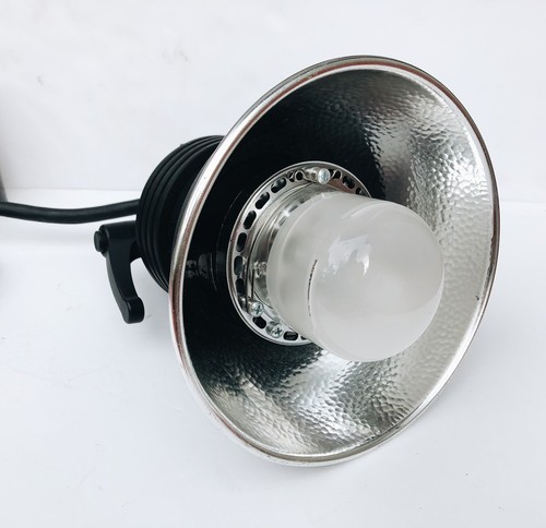 Profoto Acute 2 Flash Head w/ Zoom Reflector