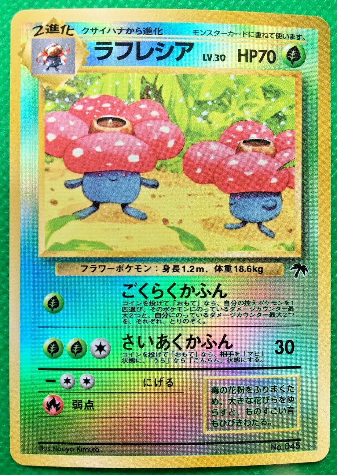 英語版初期　ポケモンカード　Vileplume holo　旧裏 1st Edition Vileplume Holo Rare - Jungle Set 15/64 - Vintage