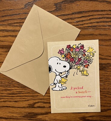 Get Well Soon Greeting Card/ Env Snoopy & Woodstock ~ Hebrews 3:13