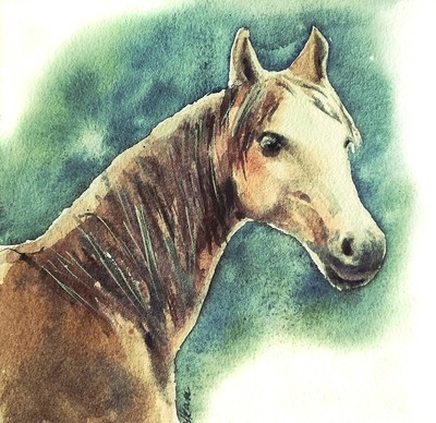 Original Watercolor Horse Painting Animal Art Impressionism Signed