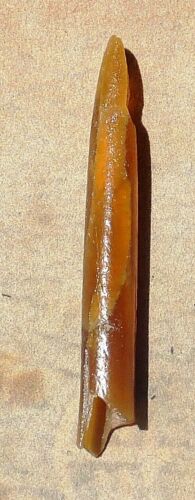Amber colored Belemnite Pachytreuthis guard Jurassic Period  Montana 5.75 grm
