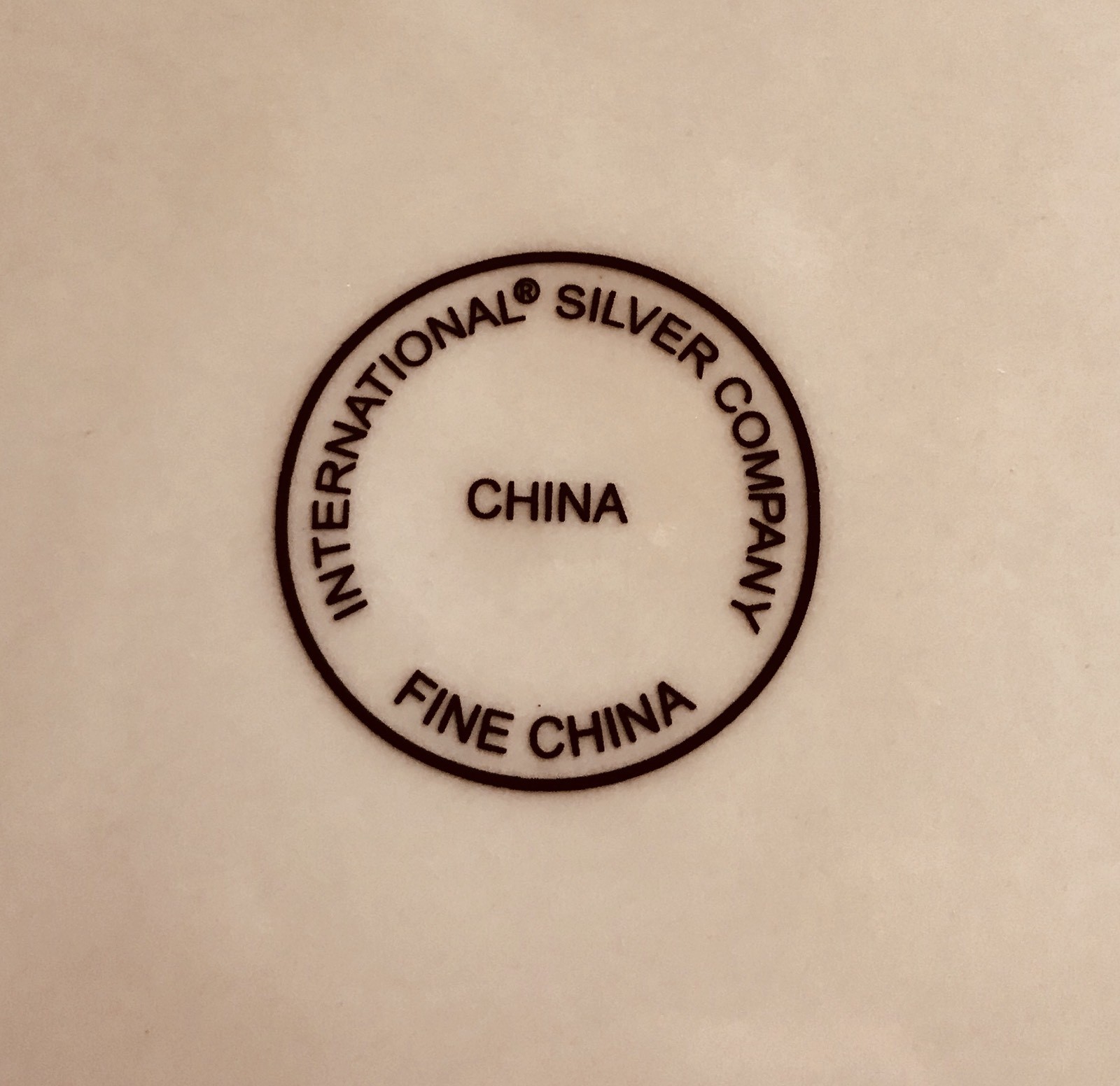 7 INTERNATIONAL SILVER CO WHITE SILVER PLATINUM RIM RINGS DINNER PLATES 10 3/4