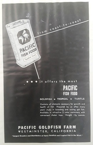 Vtg Old Aquarium Fishbowl Pacific Gold Fish Farms California Food - 50s Print Ad