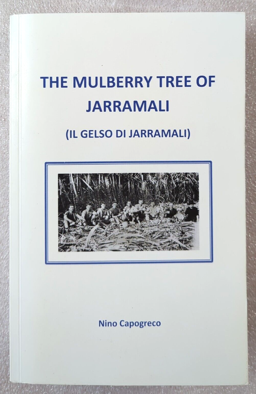 The Mulberry Tree Of Jarramali (IL Gelso Di Jarramali) by Nino Capogreco