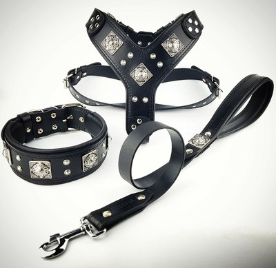 Bestia Eros Set. Collar & Harness & leash. Big dogs only! ALL BLACK VERSION!