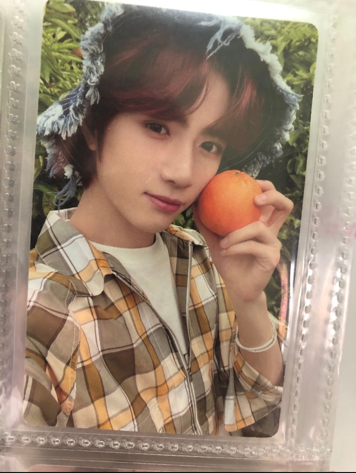 TOMORROW X TOGETHER - TXT Midsummer トレカ tangerine farm ver. 5枚 TOMORROW X TOGETHER - TXT Midsummer トレカ tangerine farm