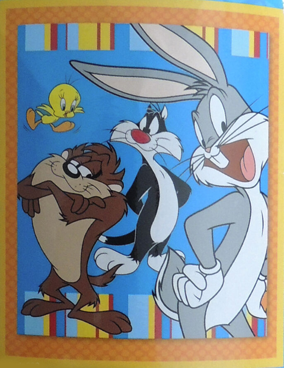 tweety bird and sylvester blanket
