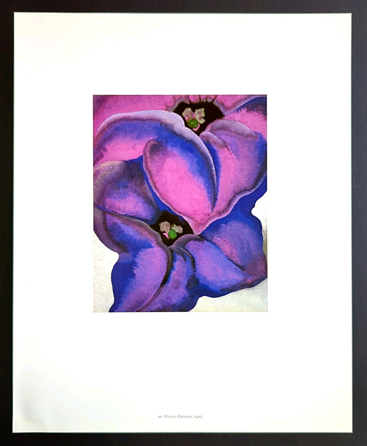 Black and Purple Petunias/オキーフ/ポスター Georgia O