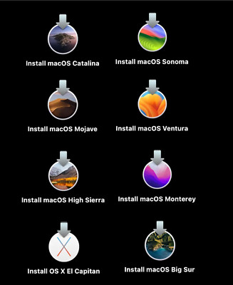 Mac Repair Service Bootable USB Installs Eight OS