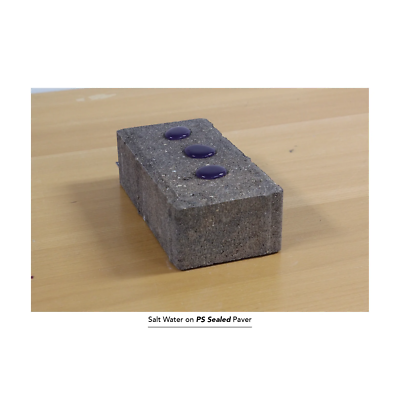 SRW Products PS Penetrating Sealer