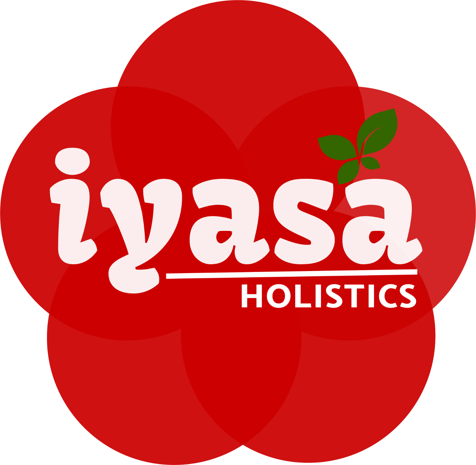 Licorice Root Powder (Liquorice) USDA certified Organic, Ships Free,  4,8,16 oz