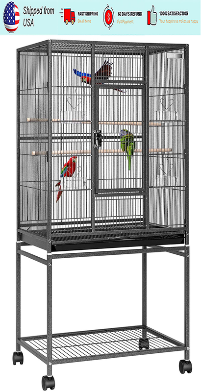 W/rolling Stand For African Grey