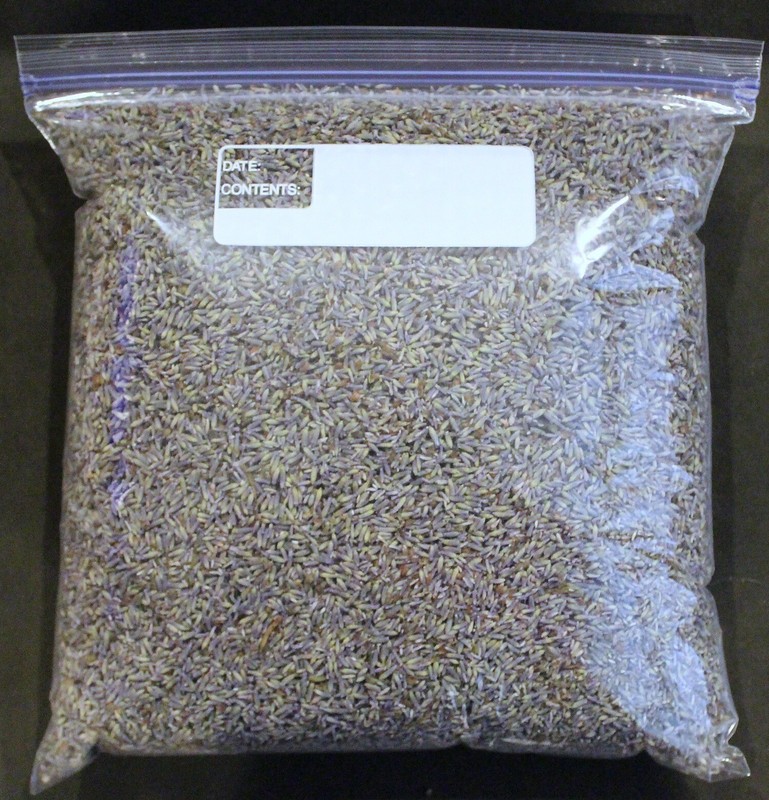 1 Pound of Fresh Sequim GROSSO Lavender - Fresh Dried Buds w