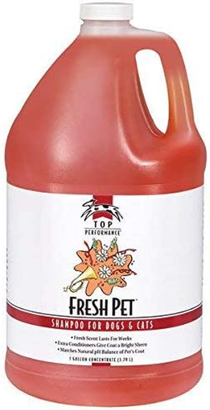 Concentrate Gallon Dog & Cat Professional Groo
