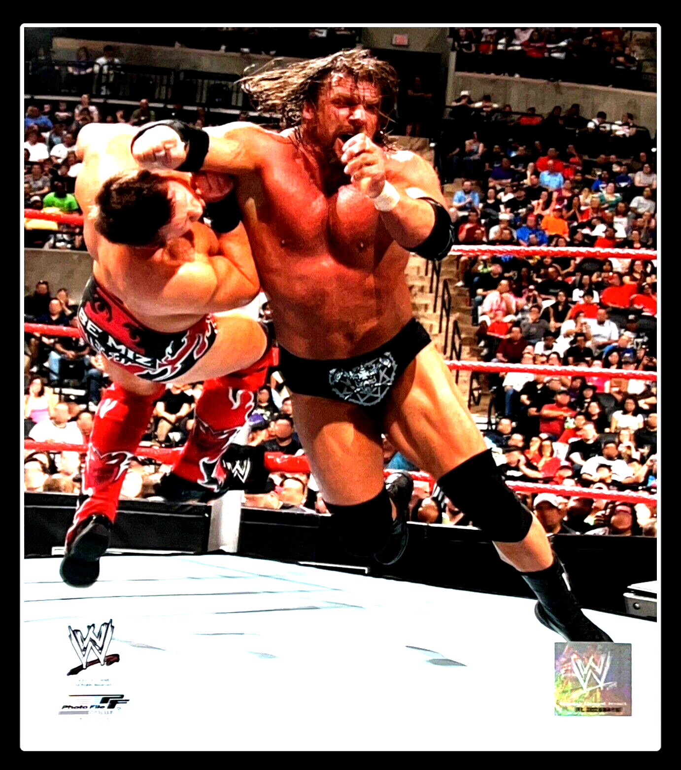 WWE TRIPLE H OFFICIAL LICENSED 8X10 WRESTLING PHOTO
