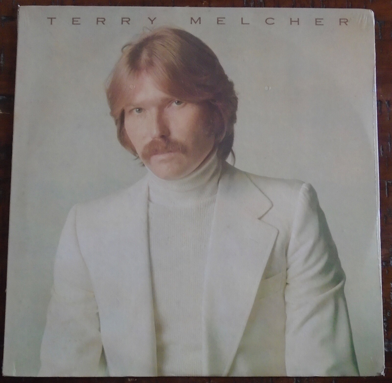 TERRY MELCHER, Terry Melcher USA New Old Stock Sealed LP