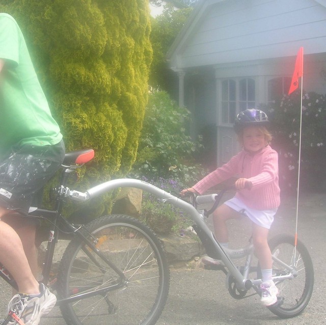 giant half wheeler bike