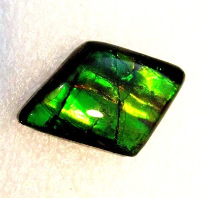 AMMOLITE GEMSTONE 21mm x 12mm
