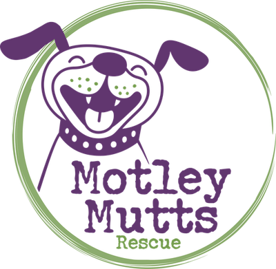 Motley Mutts Rescue