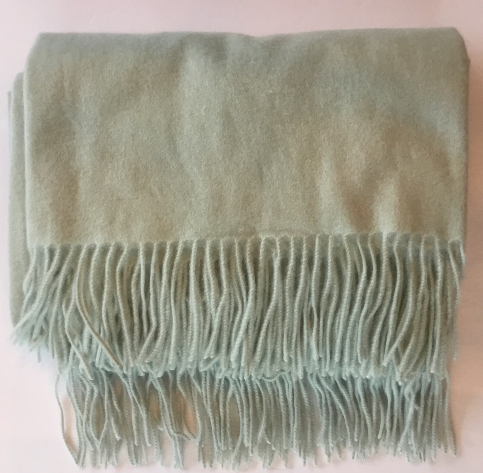Williams Sonoma Home SOLID CASHMERE Throw 50” x 65” Seafoam ~520 gram~Luxury~NWT