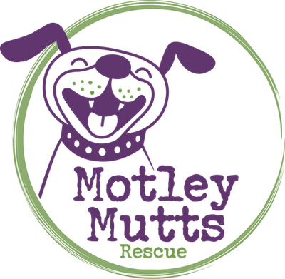 Motley Mutts Rescue
