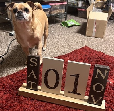 Artikelfoto(s) von einem verifizierten Käufer