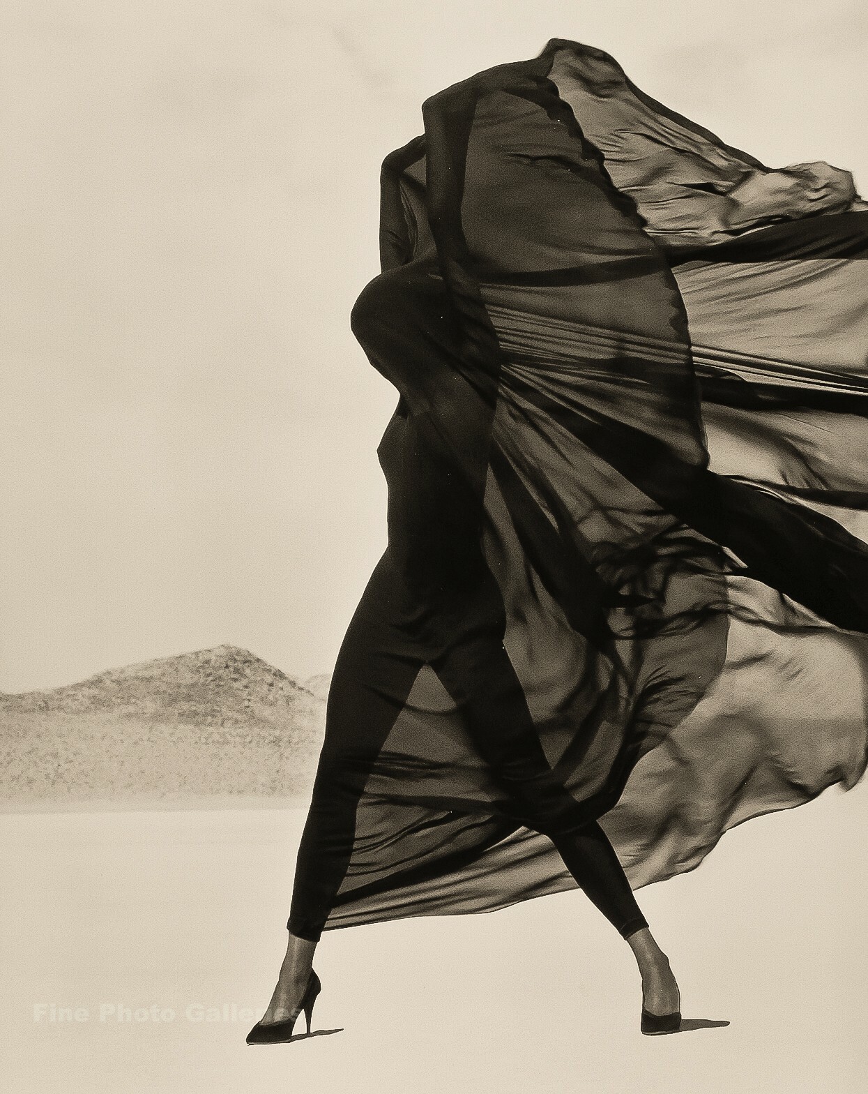 Herb Ritts (Stern Fotografie) (洋書) STERN Fotografie Portfolio No.58 Herb Ritts ハーブ・リッツ