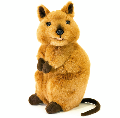 Quokka plush sale