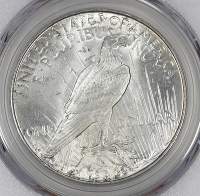 1934 D PEACE SILVER DOLLAR S$1 NGC CERTIFIED MS 63 MINT STATE  (719)