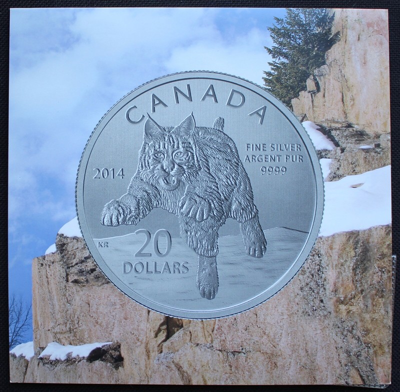 【SEV】SEV PB CONCENT Westbound Aviator Bronze Full Rim Eyeglasses | Eyebuydirect