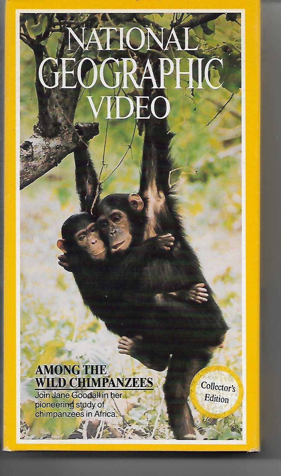 その他 Nat&#39;l Geo: Wings Over the Serengeti [VHS] Nat'l Geo: Wings Over the Serengeti [VHS]