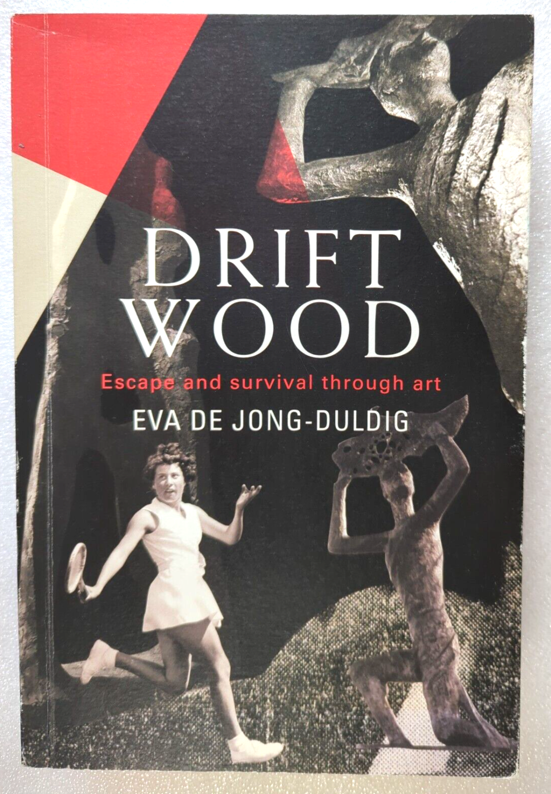 Drift Wood Escape And Survival Through Art by Eva De Jong Duldig