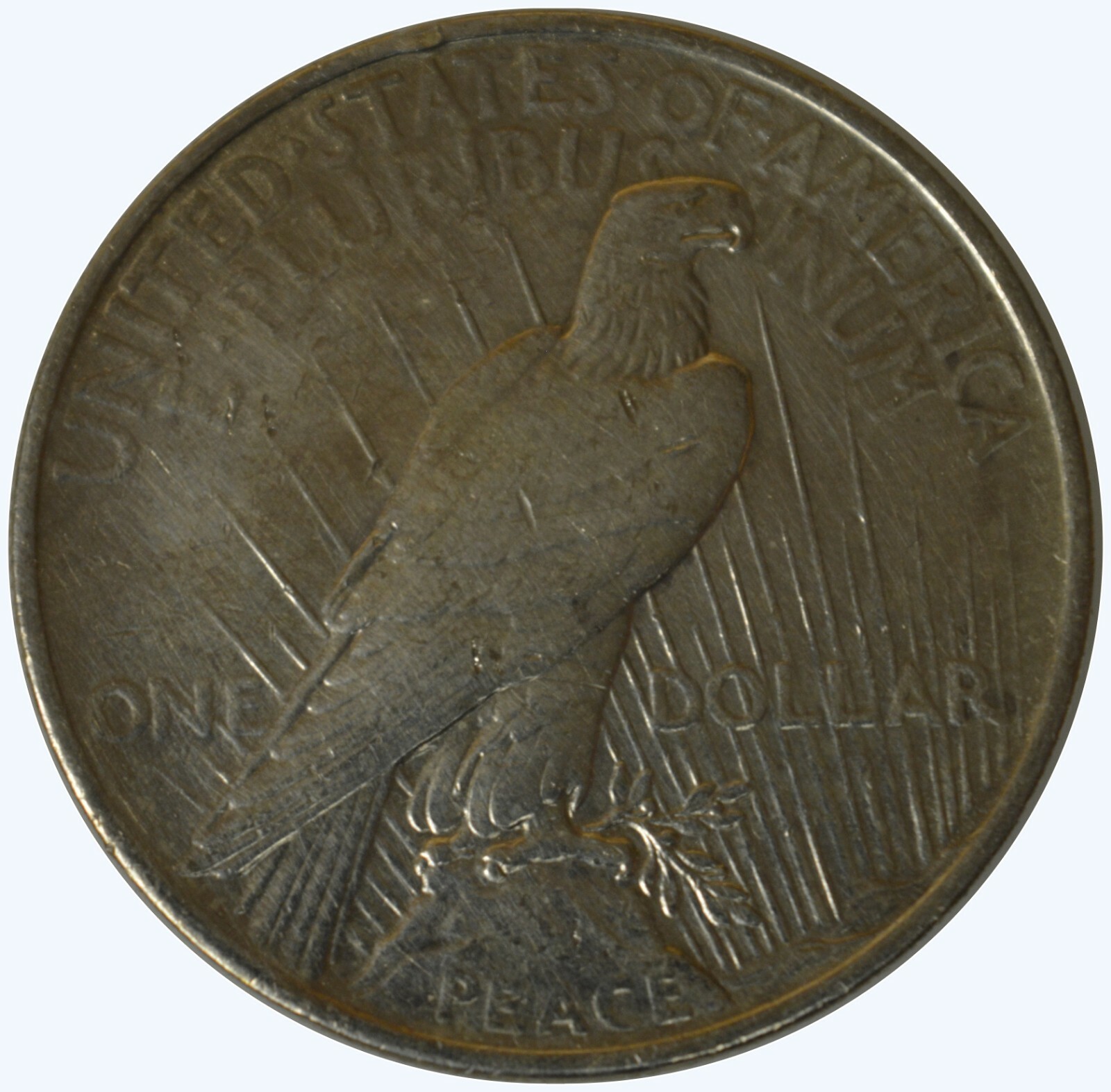 1924 Peace Silver Dollar - Cleaned