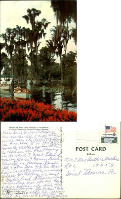 Sightseeing boats Cypress Gardens Florida FL moss postcard mailed 1971