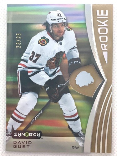 2023-24 Upper Deck Synergy - David Gust #119