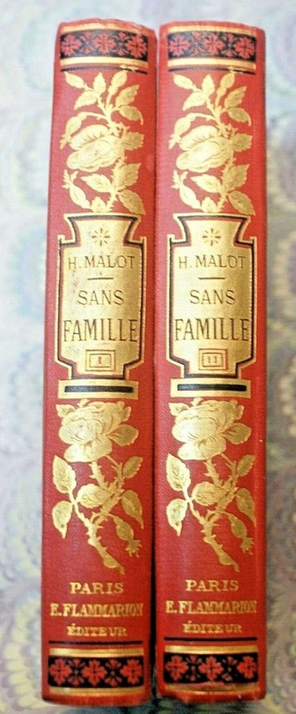 Sans Famille  Hector Malot Flamarion Xix / 2853hm