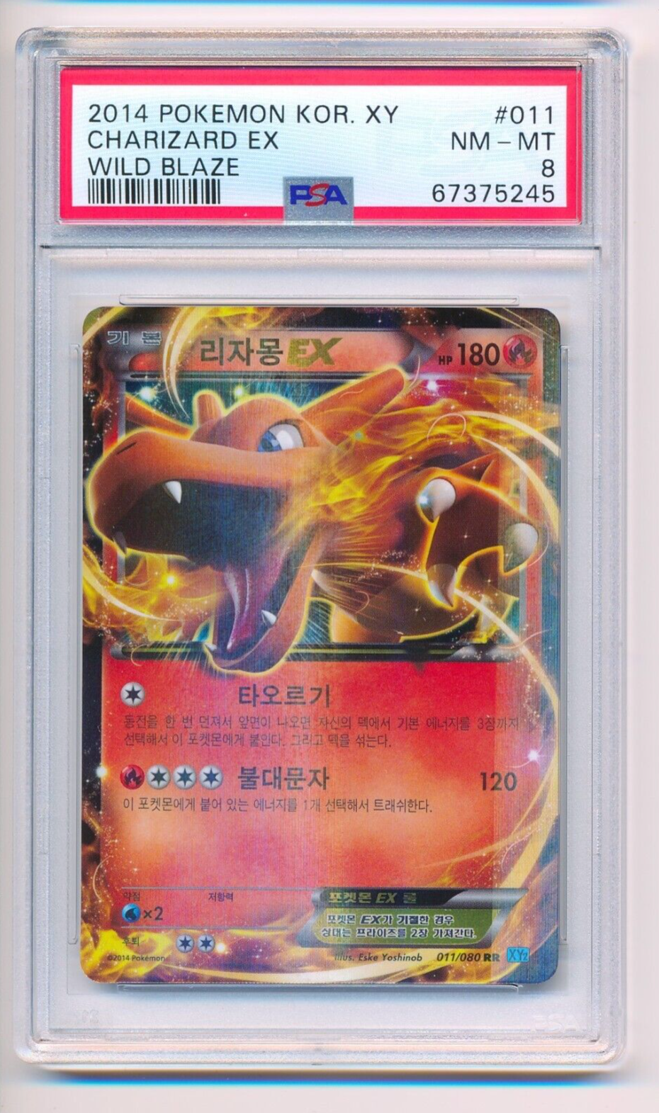 み*や様 M CHARIZARD EX #088 WILD BLAZE 2014