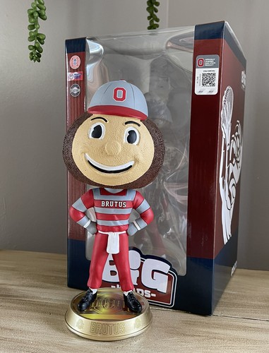 【BOBBLE HEAD】BUCKEYES BRUTUS HVTH56GROJCT3HAWVMOD6CA44Y.jpg