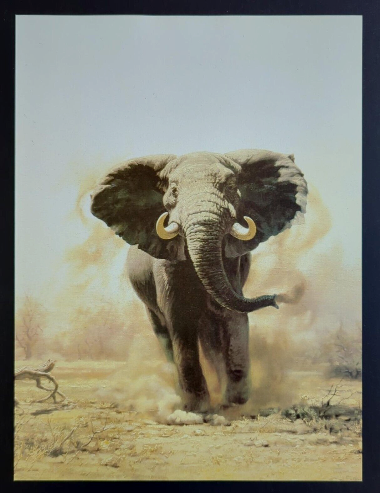 ◆BLUE ELEPHANT◆ COY ash brown Guy Coholeach Elephant Charging Kicking Up Dirt Dust Art