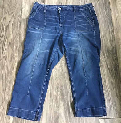 Hydraulic Murray High Rise Wide Leg Stretch Blue Jeans Womens Plus Size 20W