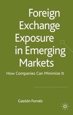 Foreign Exchange Exposure in Emerging Markets: How Companies Can Minimize It by 